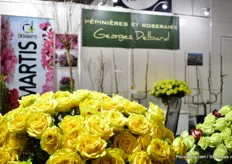 Also at  bij Georges Delbard cut roses were on display.